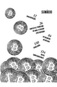 O mínimo sobre Bitcoin