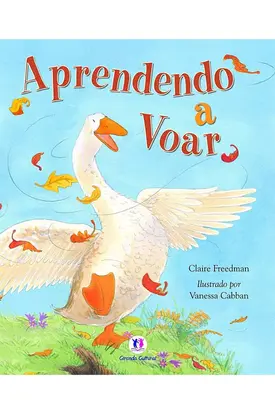 Aprendendo a voar