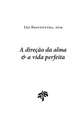 A direção da alma e a vida perfeita