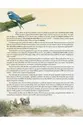 A história de Pedro Coelho