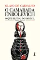 O camarada Enrolevich - O que restou do Imbecil - vol. VII