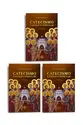Combo - Catecismo Católico Popular (Vol. I, II e III)