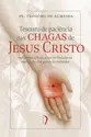 Tesouro de paciência nas chagas de Jesus Cristo