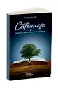 Catequese: Palavras de amor, sementes de esperança