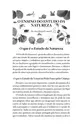 Manual de estudos da natureza - Insetos & aracnídeos