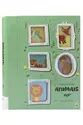 BOX C/6 UND: Animais