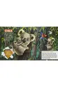 Incríveis POP-UPS: Incríveis Animais Selvagens