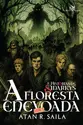 Histórias de Sidarkys: A floresta enevoada