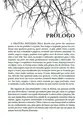 Histórias de Sidarkys: A floresta enevoada