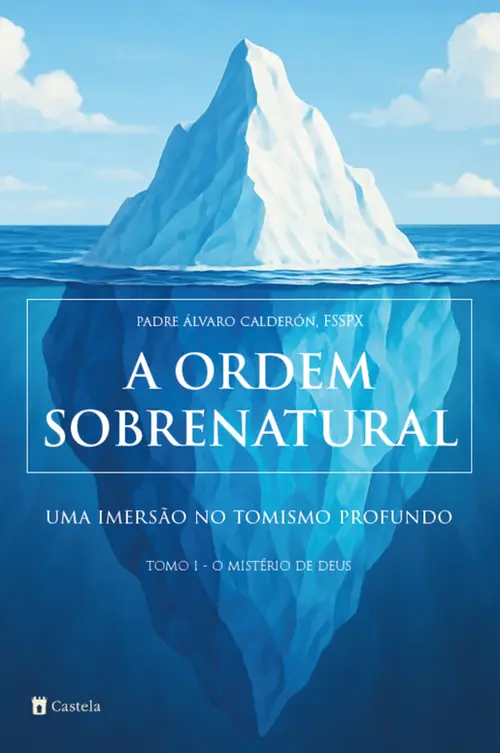 A ordem sobrenatural: Uma imersão no tomismo profundo